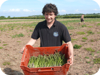 med_asparagus_6